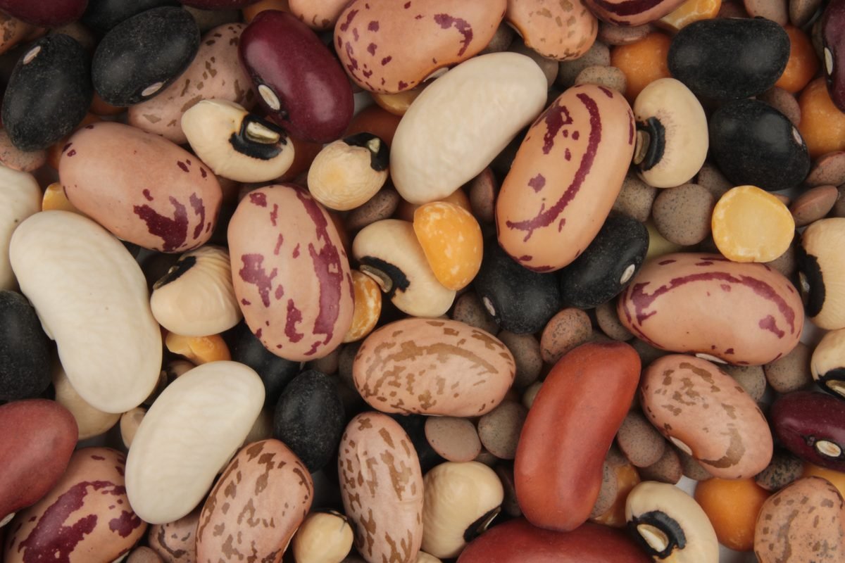 A close view of mixed dried beans and pulses.